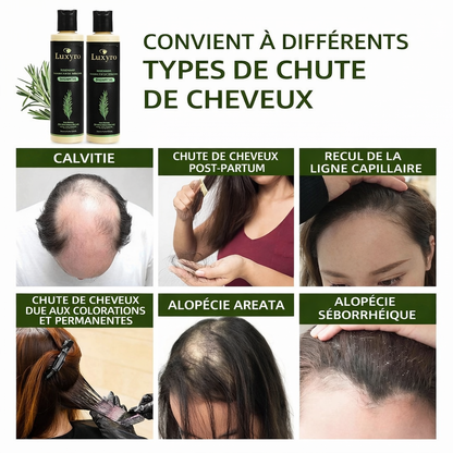 Shampooing au Romarin & Kératine - LUXYRO